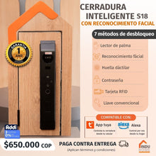 Load image into Gallery viewer, S18 - Cerradura Inteligente con reconocimiento facial
